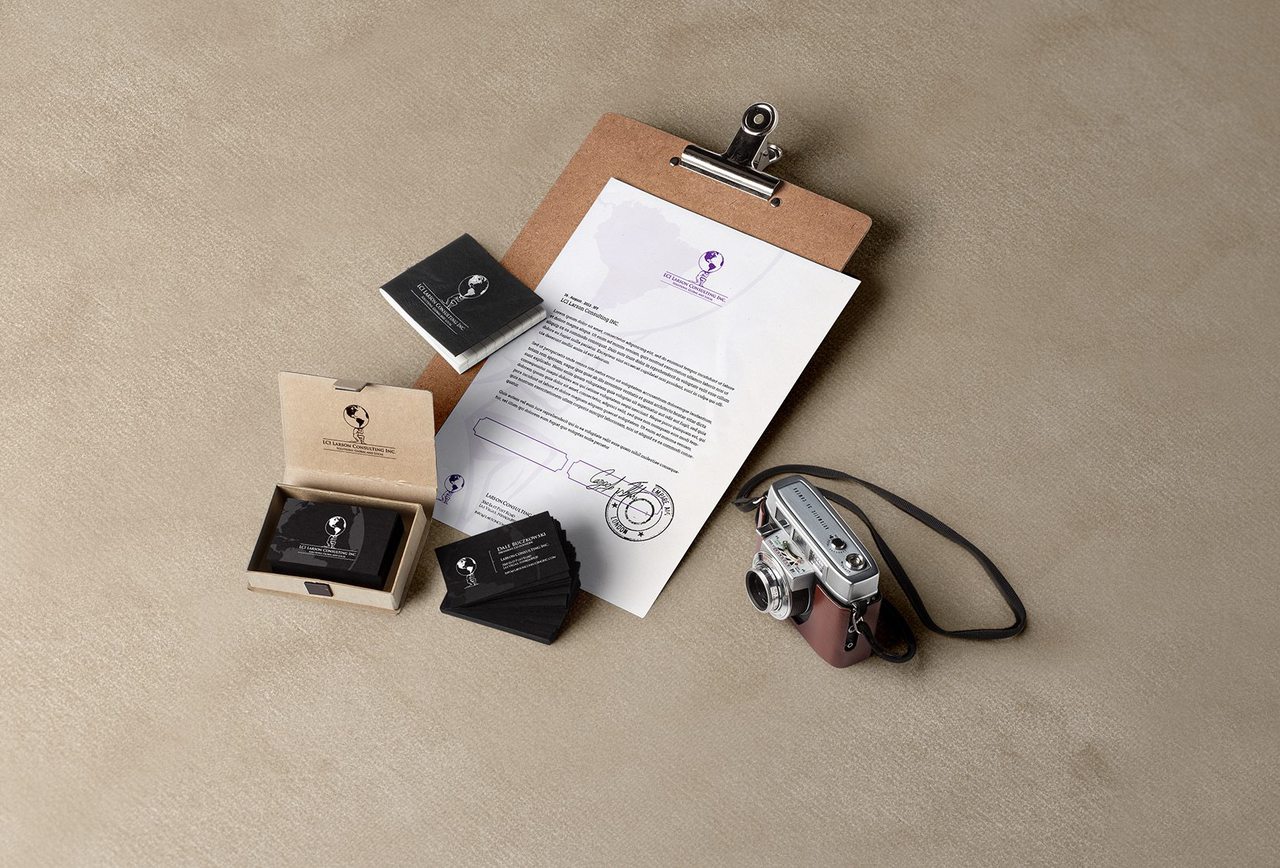 Larson Consulting Graphic Design Calgary