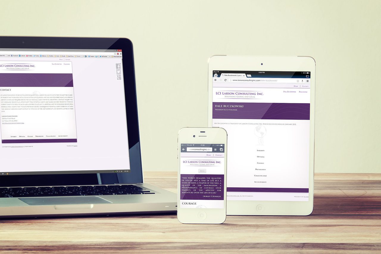 Larson Consulting Website Design