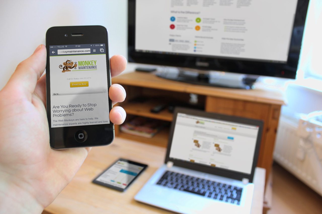 Monkey Maintenance Chicago Web Design