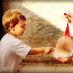 web design companies in Calgary