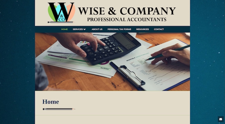 talonX Creative Agency - Wise and Company Professional Accountants Calgary Web Design Agency